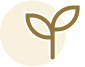 Miami Thai Spa Website Element