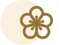 Miami Thai Spa Website Element
