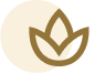 Miami Thai Spa Website Element